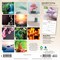 Brush Dance; Mindful Living | 2027 7 x 14 Inch (Hanging) Monthly Mini Wall Calendar; Category:Wall Calendars; Image:3